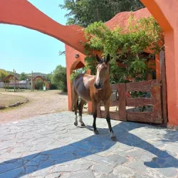 Negocio Cabañas Ramadas