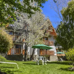 Negocio Cabañas Rucaleufú