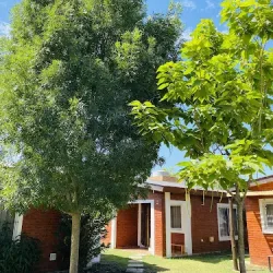 Negocio Cabañas San Antonio