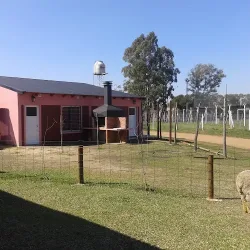 Negocio Cabañas Santa Rita