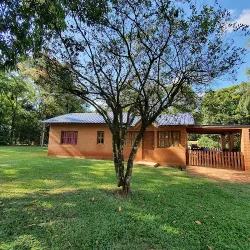 Negocio Cabañas Selva Verde