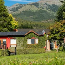 Negocio Cabañas Sukal - Flores Secas