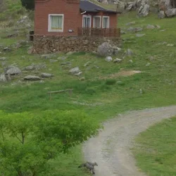 Negocio Cabañas Tandilia