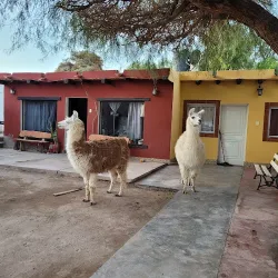 Negocio Cabañas Tunay