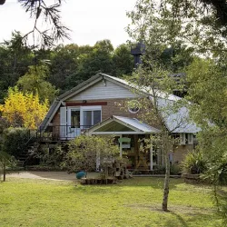 Negocio Cabañas Vía Pringles