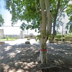 Negocio Cabañas Yrigoyen