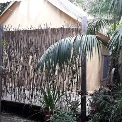 Negocio Calle Castro Suites & Tent Experience