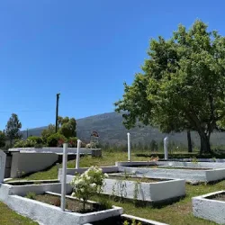 Negocio Camping El Bolsón