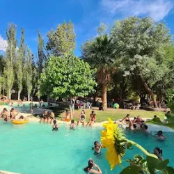 Negocio Camping Los Olivos