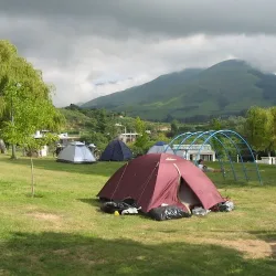 Negocio Camping Municipal Los Sauzales