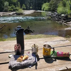 Negocio Camping Pichi Traful