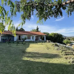 Negocio Campo Alegre