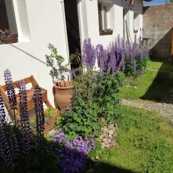 Negocio Capriche Departamentos Por Día