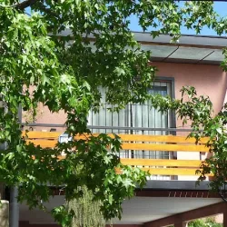 Negocio Cara Mia Tigre