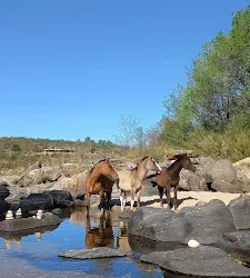 Negocio Cardones De Mayu Cabañas & Spa