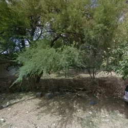 Negocio Casa De Flores, Aguas Y Música