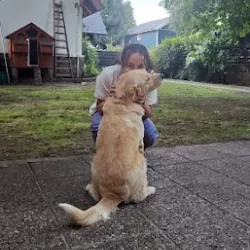 Negocio Casa De Huéspedes Silvana