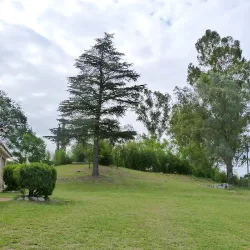 Negocio Casa De Montaña