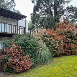 Casa De Moras (Tandil)