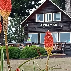 Negocio Casa De Té Arrayan