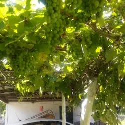 Negocio Casa Del Paso Marta Villa Descansó