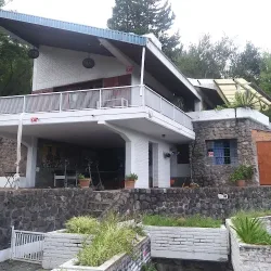 Negocio Casa Palmera El Cadillal Tucuman