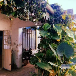 Negocio Casa Pellegrini