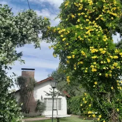 Negocio Casa Quinta Tunita's