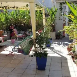 Negocio Casa Reina Palermo Queens