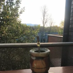 Negocio Casas Con Jopo