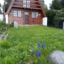 Negocio Casita Alpina Aguca