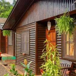 Negocio Casitas Nuova Villa