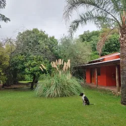 Negocio Casona Ibera