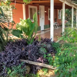 Negocio "Catamarca Hospedaje Star"