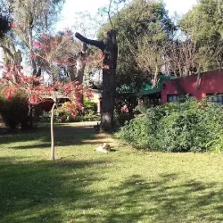 Negocio Chacra El Rancho