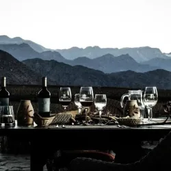 Negocio Chañarmuyo Bodega Y Casa De Huéspedes