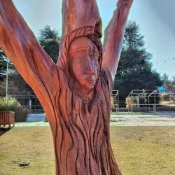 Negocio Colonia Gral Belgrano