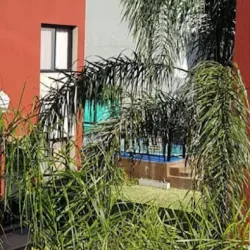 Complejo 24 Palmeras