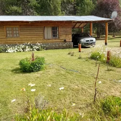 Negocio Complejo Cabañas Del Bosque