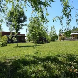 Negocio Complejo Camilo