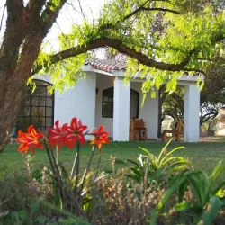 Negocio Complejo Casaflor