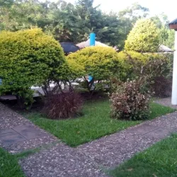 Negocio Complejo Cumelen