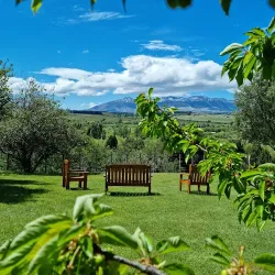 Negocio Complejo De Cabanas Arroyo Escondido Con Piscina