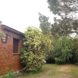 Negocio Complejo De Cabañas Los Abedules