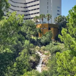 Negocio Complejo Del Mirador