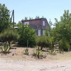 Negocio Complejo El Arbolito