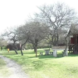 Negocio Complejo El Ceibo