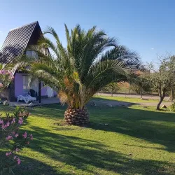 Negocio Complejo Lomas Del Sol