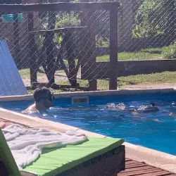 Negocio Complejo Los Árboles