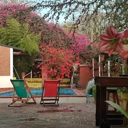 Negocio Complejo Los Arboles